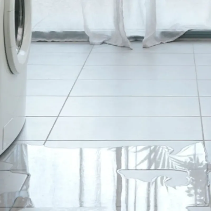 Appliance Leak Cleanup in Exeter, CA