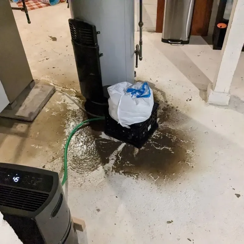 Sewage Backup Cleanup Service in Exeter, CA
